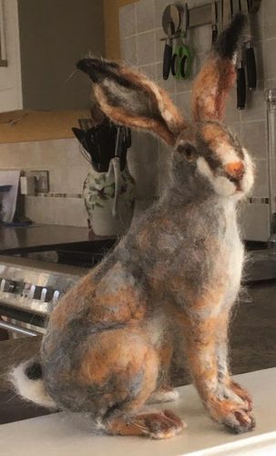 Geri, March Hare, recycled lamb wool.